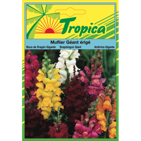 Snapdragon Antirrhinum Seeds By Tropica - Vibrant Spikes of Colour